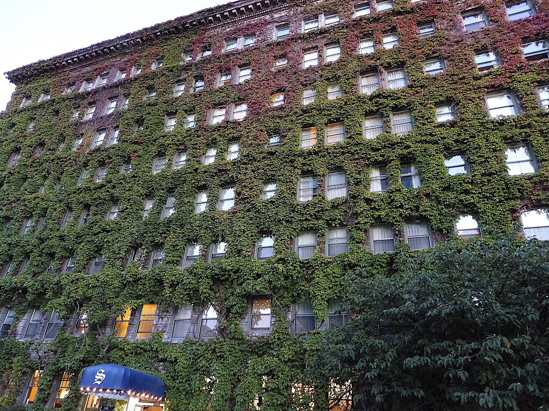 Façade végétalisée